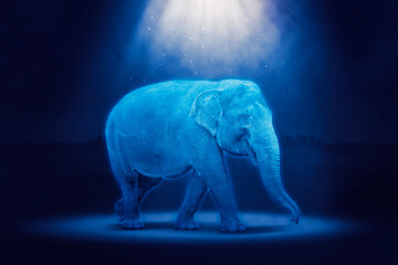hologram elephant